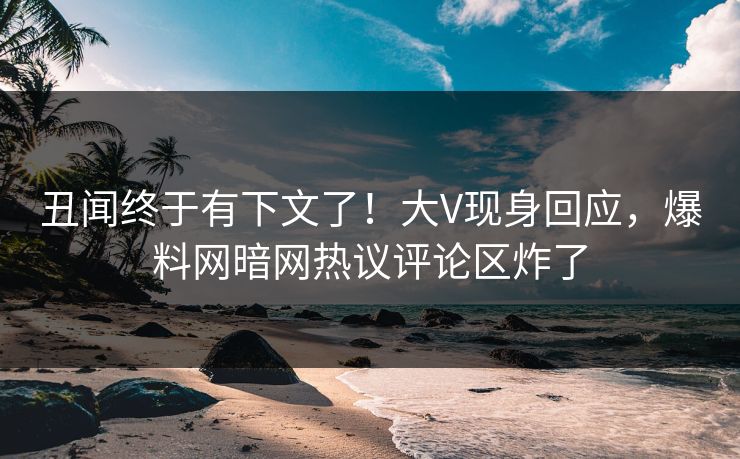 丑闻终于有下文了！大V现身回应，爆料网暗网热议评论区炸了