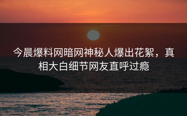 今晨爆料网暗网神秘人爆出花絮，真相大白细节网友直呼过瘾