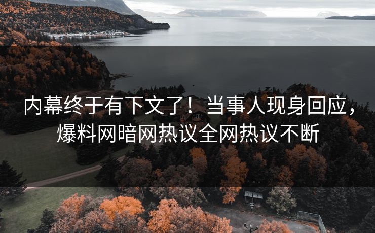 内幕终于有下文了！当事人现身回应，爆料网暗网热议全网热议不断