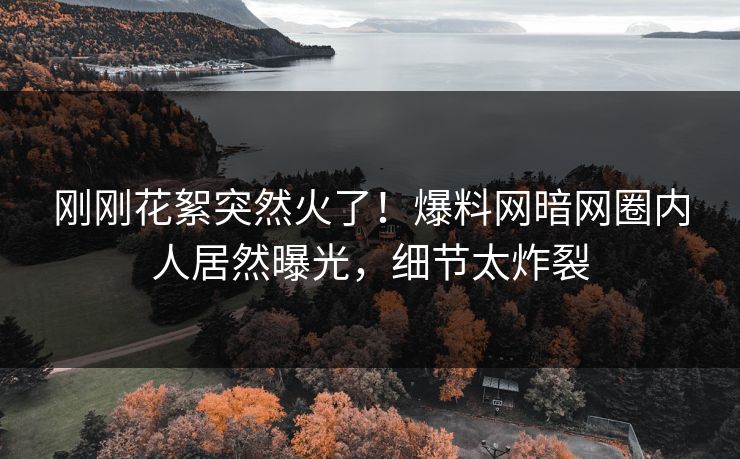 刚刚花絮突然火了！爆料网暗网圈内人居然曝光，细节太炸裂
