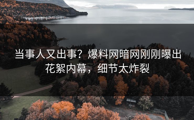 当事人又出事？爆料网暗网刚刚曝出花絮内幕，细节太炸裂