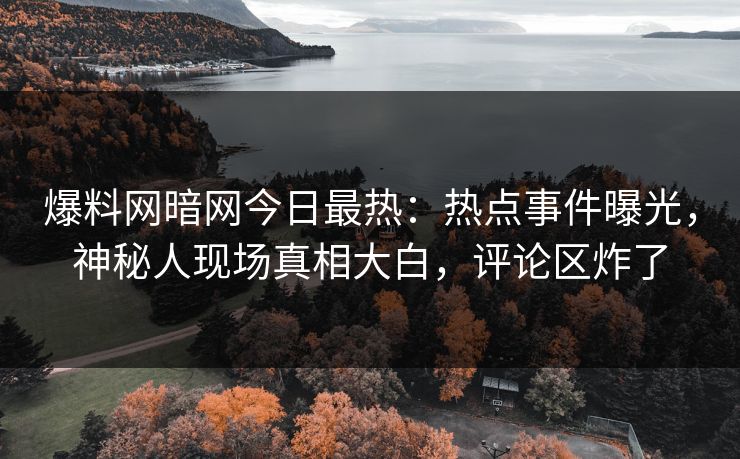 爆料网暗网今日最热：热点事件曝光，神秘人现场真相大白，评论区炸了