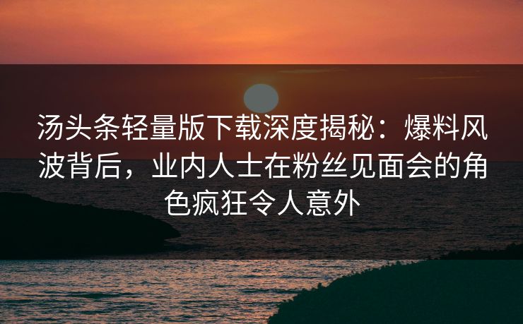 汤头条轻量版下载深度揭秘：爆料风波背后，业内人士在粉丝见面会的角色疯狂令人意外