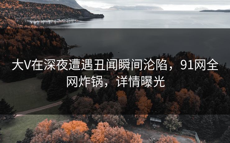 大V在深夜遭遇丑闻瞬间沦陷，91网全网炸锅，详情曝光