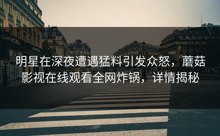 明星在深夜遭遇猛料引发众怒，蘑菇影视在线观看全网炸锅，详情揭秘